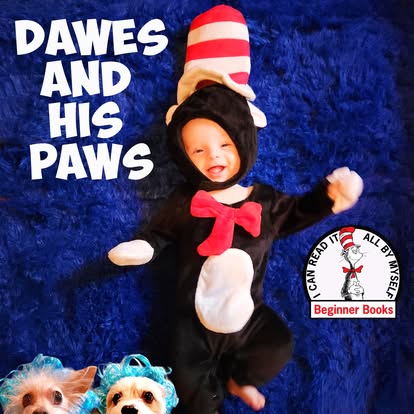 Dawes and His Paws